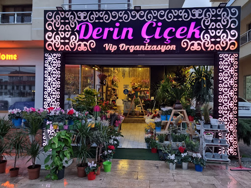 Derin Çiçek Ve Organizasyon