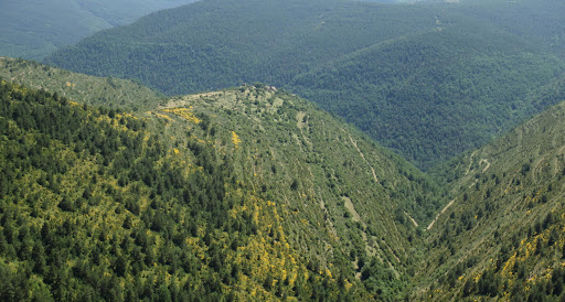 Escartín - Visual