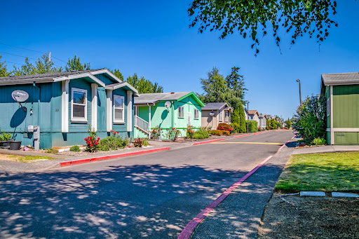 Hogan Meadows - Visual