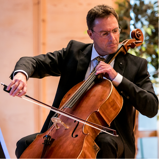 brunner cello - Visual