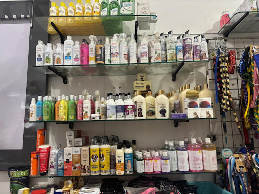 Pet Shop in Panipat | Dog Food | Cat Food | Pet Accessories | Dog Grooming Royal Canin post image