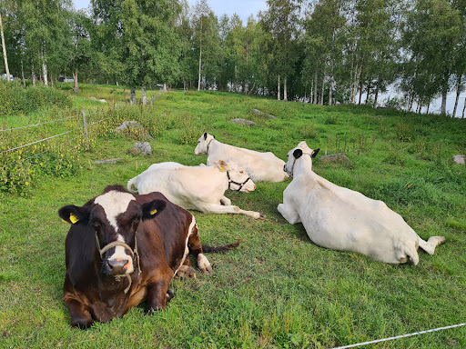 Ponderosa 4H farm - Thumbnail