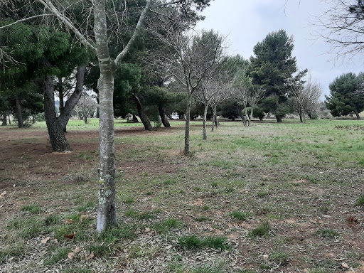 Arboretum de Cabestany - Thumbnail