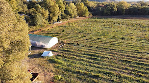 Photo n°5 de Weedling's Finest à Aspiran (Ferme bio)