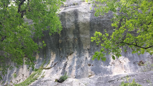 Grotte de Font-de-Gaume