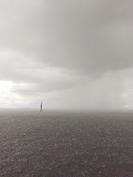 Photo n°11 de LES COQUILLES DU BASSIN à Andernos-les-Bains (Service de livraison)