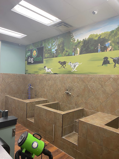 Choice Pet - Ridgefield - Thumbnail