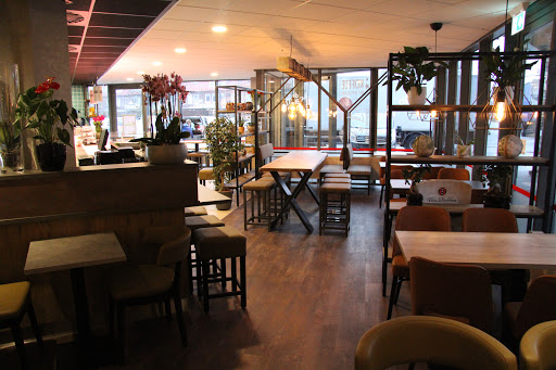 site_photo2