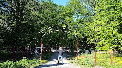 Photos of Кафе Delfin
