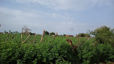 Photos of Mairie De La Commune Rurale De Dieoura