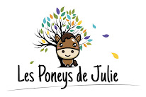 Les poneys de Julie à Nuncq-Hautecôte
