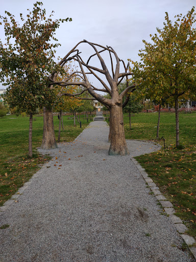 Staty - Visual