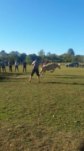 Opiniones de Jockey Club en Rivera - Camping