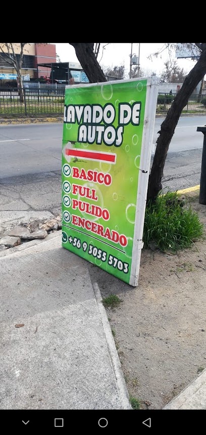 Lavado de Autos Auto-Spa y grabado de pat