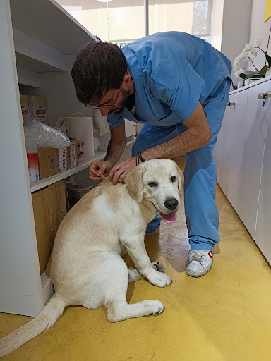 Bobbykhan mascotas Centro veterinario, peluqueria, alimentacion y accesorios