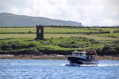 Photos of Dingle Bay Charters