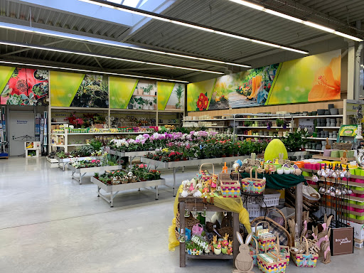 weschbaumarkt.shop - Visual