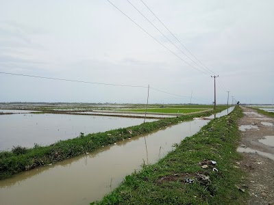Photos of Dinas Kesejahteraan Sosial