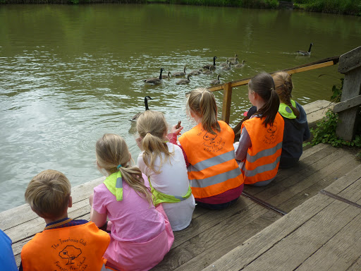 The Treehouse Club - Forestry Nursery & Preschool - Brentwood - Thumbnail