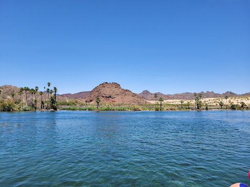 Foxs RV Resort Gallery - United States