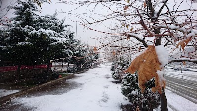 Photos of Eynesil Sahil Parkı