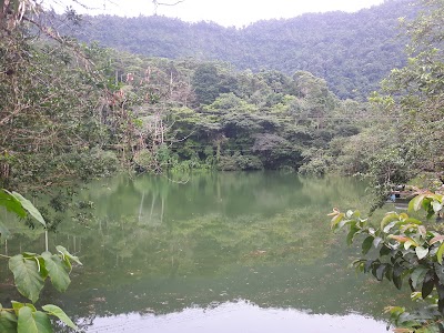 Photos of Finca Tinamaste Capi