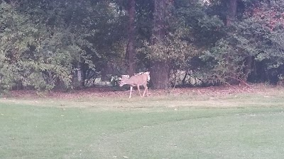 Chesapeake Hills Golf Course