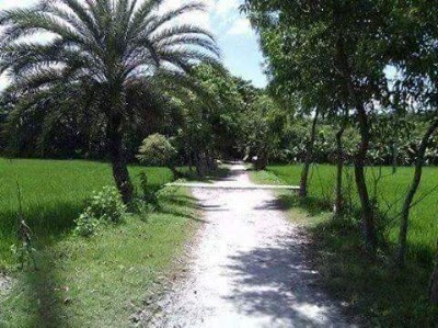 Photos of Bangla Holidays