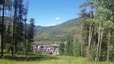 Photos of The Ritz Carlton Club, Vail