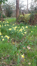 Photo n°22 de Maison Doat 1823 à Perchède (Chambre d'hôtes)