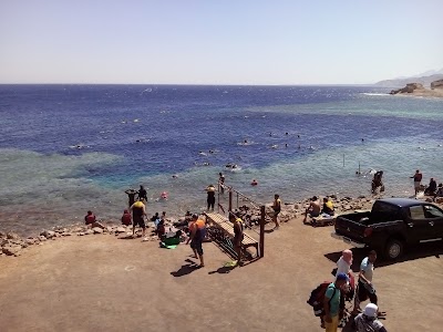 Photos of Star Of Dahab