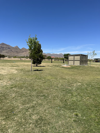 Sue Young Park - Thumbnail