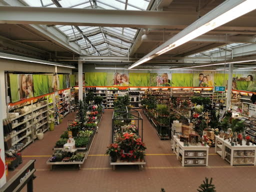 OBI Gartencenter Kaiserslautern - Thumbnail