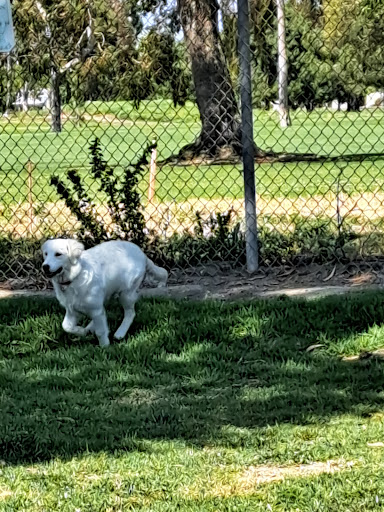 Arbor Dog Park - Thumbnail