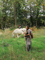 Photo n°2 de Les Licornes du Bois Gelé à Coatascorn (Centre équestre)