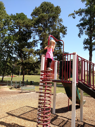 Pine Log Park - Visual