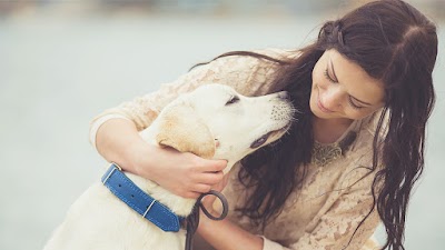 Photos of Dames Point Animal Hospital
