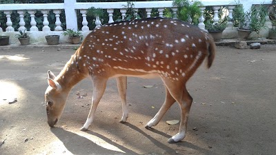 Photos of Sumanarama Maha Viharaya සුමනාරාම මහා විහාරය