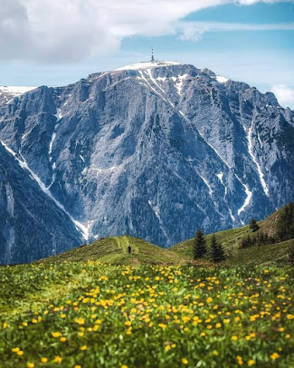 Af1qipprzjvmt9aq2iuscedura74i05dhtt39gr7tuip=s406 K No