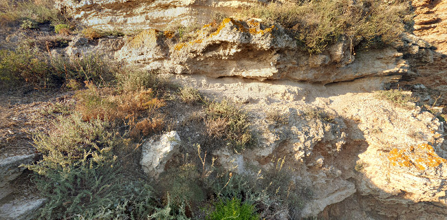 https://visit.varna.bg/en/nos-kaliakra-i-arheologicheski-rezervat-kaliakra.html