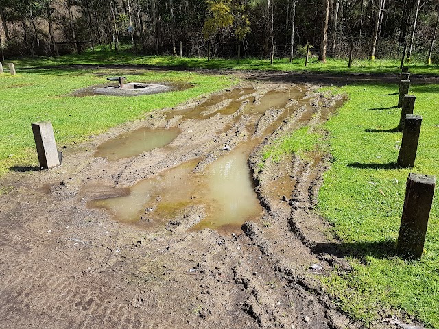 Stevensons Falls Campground
