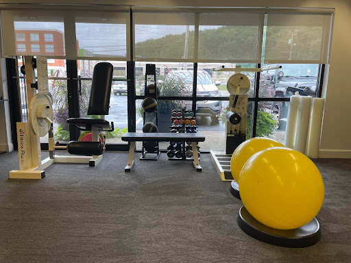 Active Chiropractic - Visual