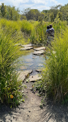 Nature Play - Visual