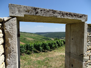 Photo n°18 de Domaine Coste-Caumartin à Pommard (Établissement vinicole)