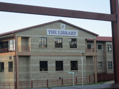 university