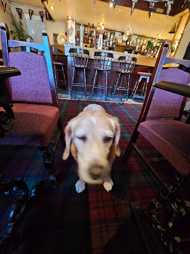 The Maybole Arms - Thumbnail