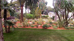 Photo n°6 de Jardin o vert à Saint-Blaise (Paysagiste)