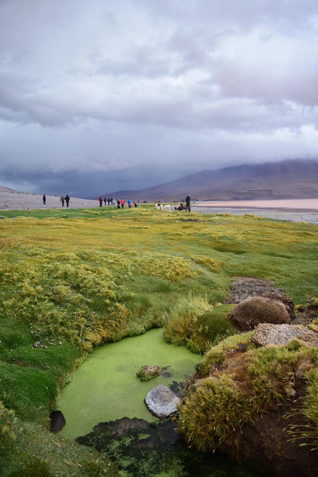 Laguna Colorada