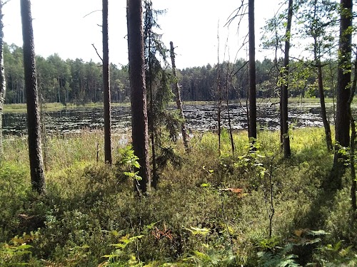 Gražutė Regional Park