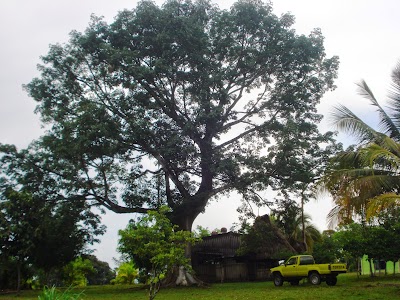 Photos of ICTA Central Farm